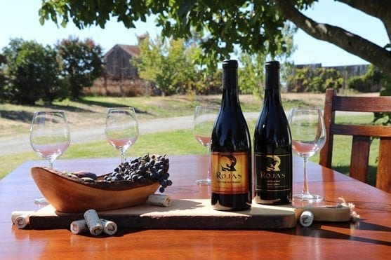 rojas-winery