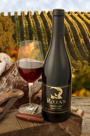 2016PinotSEvineyard_008web