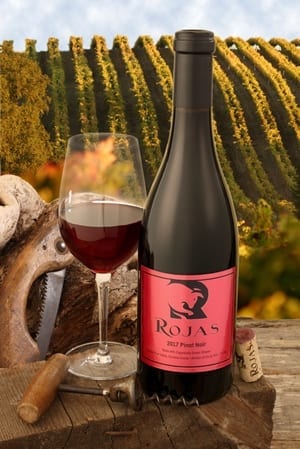 2017-organic-pinot-noir