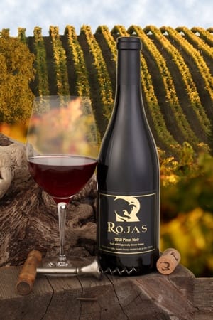 Pinot2018Vine_023Web